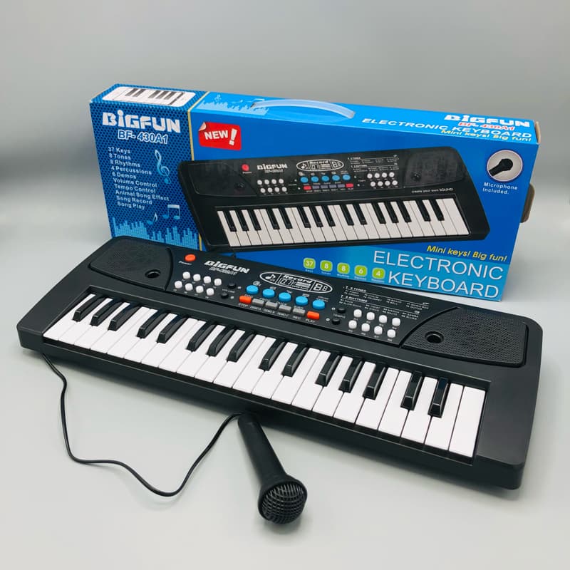 Electric Piano plus Mike