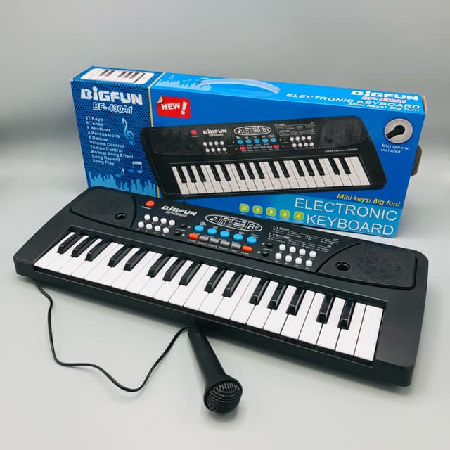 Electric Piano plus Mike