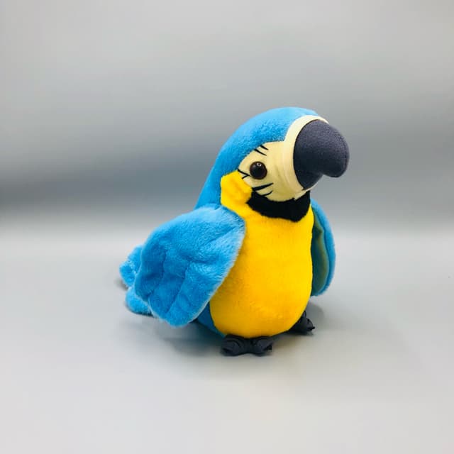 Talking Parrot